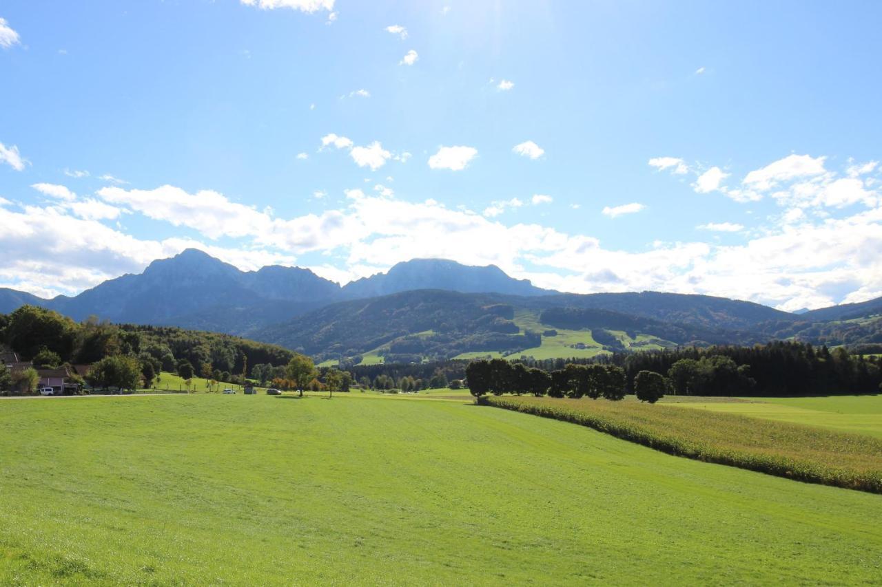 Alpenblick Apartment