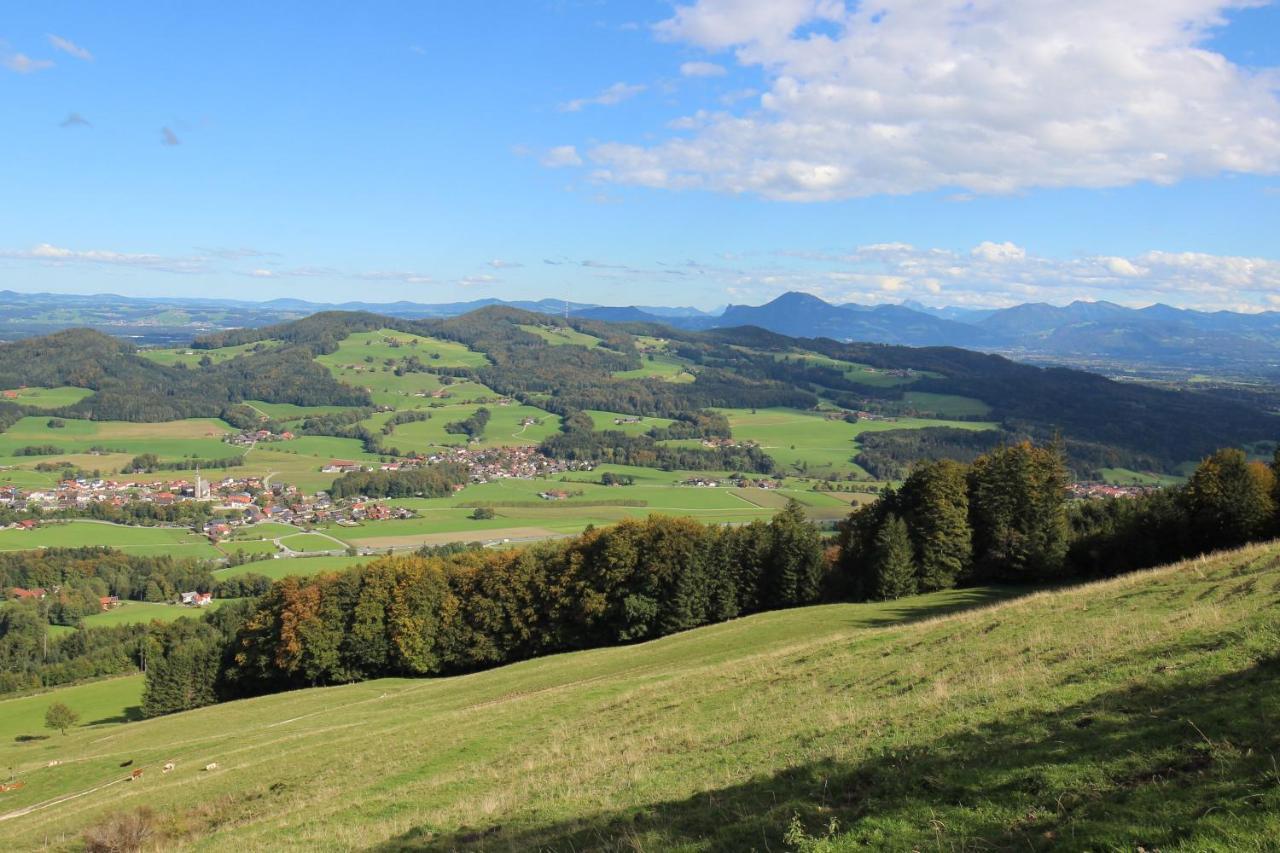 Alpenblick *