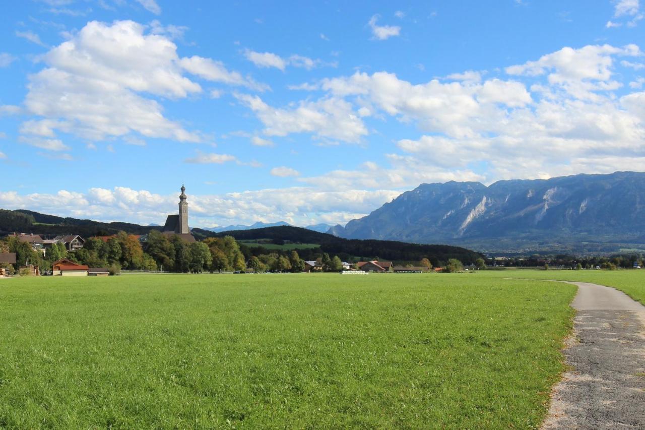 Alpenblick Anger